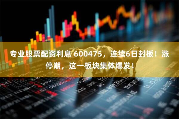 专业股票配资利息 600475，连续6日封板！涨停潮，这一板块集体爆发！