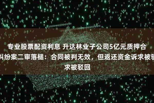 专业股票配资利息 升达林业子公司5亿元质押合同纠纷案二审落槌：合同被判无效，但返还资金诉求被驳回